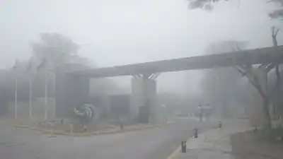 Niebla densa sorprende a Añatuya: ¿qué pasará con el clima el resto del jueves?