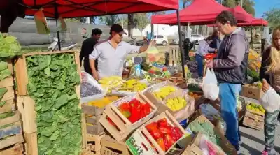 Mercado de Abaratamiento: precios que alivian el bolsillo en Las Playas