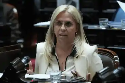 La Cámara de Diputados se prepara para un emotivo homenaje a las víctimas de Valle Fértil