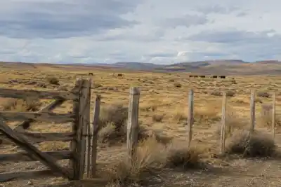 Robaron ocho caballos, los faenaron y ahora enfrentan un juicio que puede terminar en prisión
