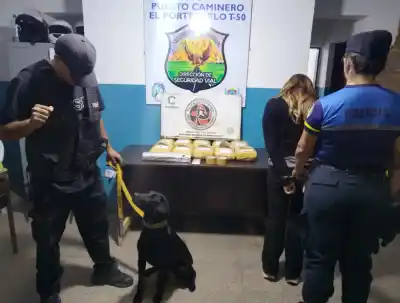 Un micro partió de Tucumán con un cargamento oculto: lo que hallaron en Catamarca dejó en shock
