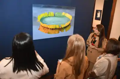 Tesoros ocultos del Chaco: el recorrido gratuito que revela más de 50 obras de artistas legendarios