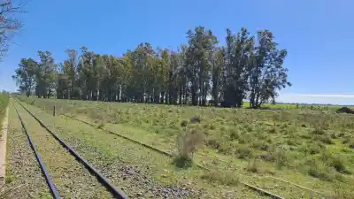 Un video captó el ataque: mataron a un joven en un paraje rural de Pergamino y hay un detenido