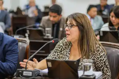 Se viene un amparo colectivo contra EDELAR: la UCR ya prepara la presentación judicial