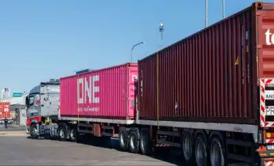 ¿Menos dañinos? La defensa de la empresa de bitrenes que circulan por La Pampa