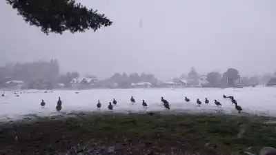 Nieve en Bariloche: suspenden todas las actividades deportivas municipales por el temporal