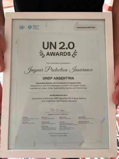 Un premio que protege al yaguareté y al bolsillo de los productores: Misiones brilló en la ONU