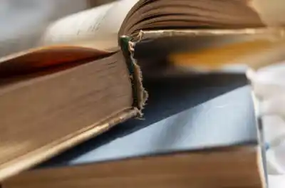 Viernes de aprendizaje: abren las inscripciones para un seminario que une literatura entrerriana y política