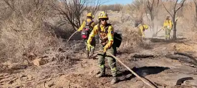 Prohíben loteos en zonas quemadas de Cafayate: la intendenta fue tajante