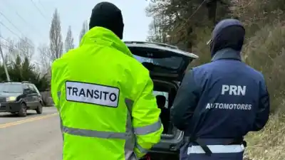 Con perros antinarcóticos y 49 colectivos revisados: así fue el megaoperativo en la Terminal de Bariloche