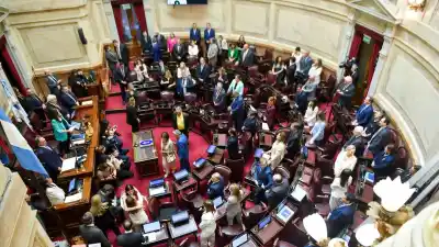 El Senado define la extranjerización de tierras: el oficialismo confía en un triunfo ajustado