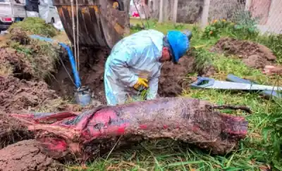 ¿Qué hallaron bajo el asfalto? Una pérdida de agua en zona sur que expone un problema oculto
