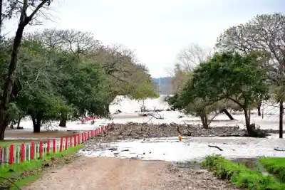El río Uruguay no da tregua: Monte Caseros en alerta por la creciente