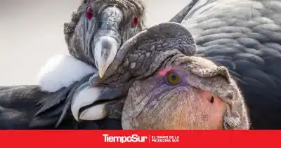 El instante mágico que le dio el premio mayor a una foto de El Chaltén