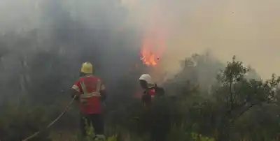 Alarma en la Patagonia: Tres nuevos focos de fuego encienden las alertas en Los Alerces