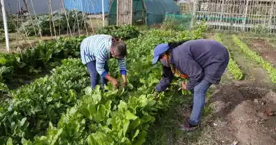 El CAR abre sus puertas para enseñar a hacer preparados agroecológicos y biodinámicos