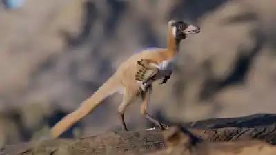 El hallazgo que reescribe la historia: el diminuto dinosaurio que vivió entre gigantes en la Patagonia