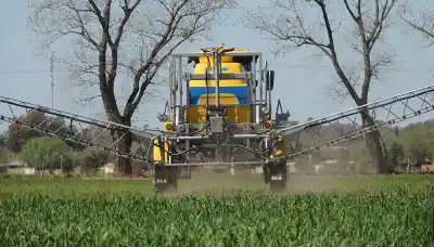 El dato que esconden los campos: en 10 años, los abortos espontáneos se duplicaron en pueblos fumigados de Santa Fe