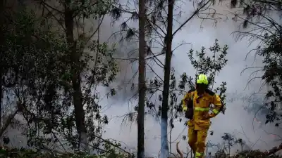 Europa arde: las llamas se expanden a Grecia, Portugal, Inglaterra y Turquía