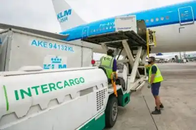 Sin ofertas: el plan de Milei para privatizar Intercargo naufragó