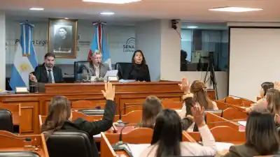Senado catamarqueño aprobó ley contra vapeadores y dio luz verde a obras clave