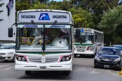 Adiós al puerto: la línea 8 de Comodoro estrena recorrido desde el Estadio Centenario