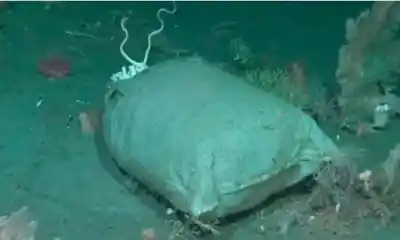 El barco que fascinó al país con criaturas marinas también reveló un secreto oscuro en el fondo del océano
