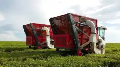 Misiones tiene fecha: las pymes que quieran crecer no pueden perderse esta oportunidad única