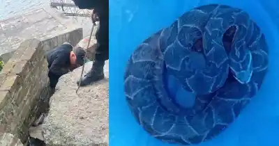 Lo que encontraron en el Parque de las Colectividades dejó helados a los vecinos