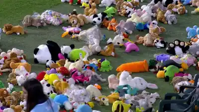 Vuelve la 'Lluvia de Peluches' al Finde Estudiantil: el gesto solidario que emociona a todos