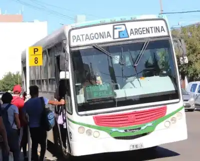 El colectivo que cambiará tu viaje: la Línea 8 de SolBus estrena recorrido y conecta tres puntos clave