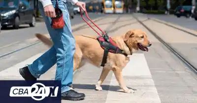 La Justicia cordobesa obligó a una prepaga a cubrirle un perro guía a un futbolista ciego