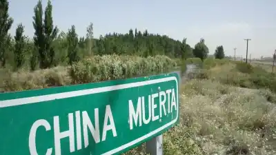 Asaltos violentos en Plottier y China Muerta: un joven terminó herido y los ladrones se alzaron con una fortuna