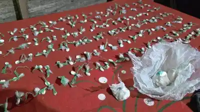 Escapó de la policía, se metió en una casa ajena y terminó detenido con 158 dosis de cocaína