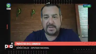 El alerta de un diputado nacional sobre la venta de tierras: "Van a quedar en manos de capital extranjero"