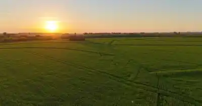 ¿Se viene un freno a la compra de tierras por extranjeros en Buenos Aires?
