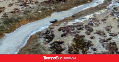 Río Gallegos suma una nueva reserva natural urbana y ya es líder nacional en conservación