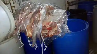 Alerta en Chubut: los casos de SUH que preocupan a las autoridades sanitarias