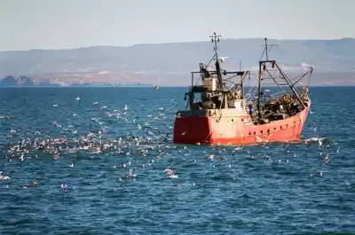 El insólito conflicto que enfrenta a pescadores y turistas en una playa de Chubut