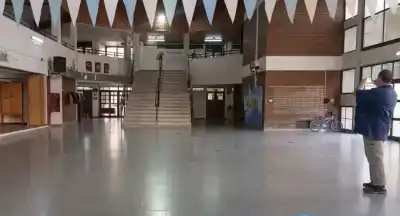 Murciélagos en la Escuela 168 de Roca: el operativo que terminó con el misterio