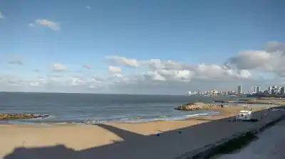 Hallazgo escalofriante en Mar del Plata: un brazo humano apareció en la playa y la fiscalía ya investiga