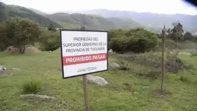Venden tierras del Estado en Facebook: la advertencia de Gilda Pedicone