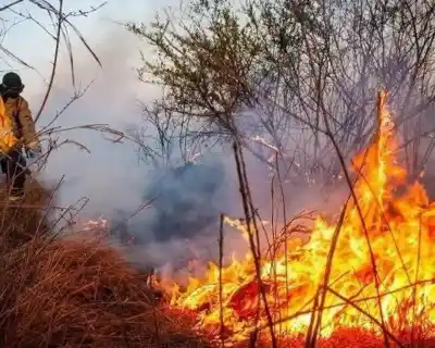 Incendio en Chilecito: el 70% del fuego ya está contenido, pero el peligro no terminó