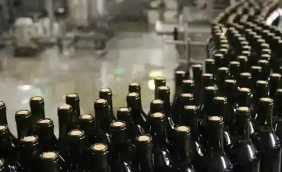 El misterio de los 1,5 millones de hectolitros de vino que descolocó a los productores