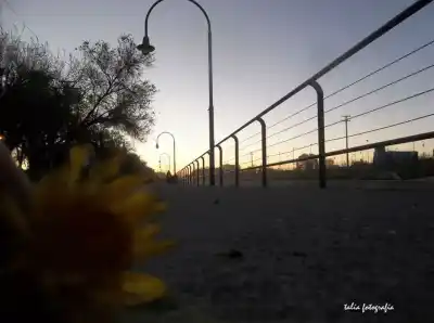 El clima en Roca cambia: ¿qué pasará con las lluvias este viernes?