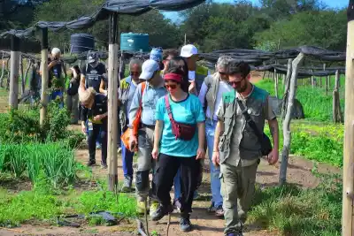 Escultores de la Bienal del Impenetrable vivieron una jornada única en Finca Don Miguel