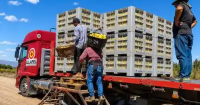 A los 78 años, el dueño de Illapel Conservas revela el secreto para sobrevivir 50 años en la industria
