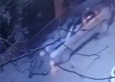 Manejaba en contramano y borracho: lo que hizo después del choque dejó a todos helados