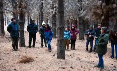 Esquel lanza un programa forestal que promete cambiar el manejo de los bosques comunales