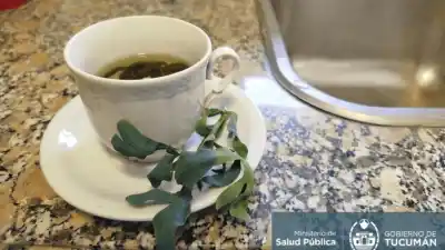 Alerta del ministerio de Salud: quiénes no deben tomar té de ruda este 1° de agosto